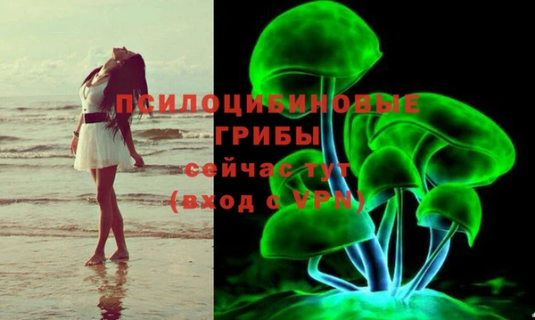 экстази Баксан