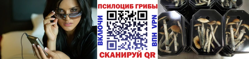Купить закладки  Бабаево  Галлюциногенные грибы GOLDEN TEACHER 